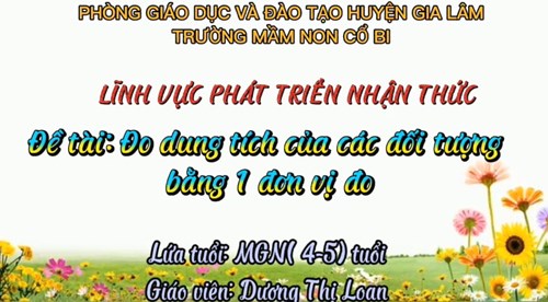 Lĩnh vực phát triển nhận thức